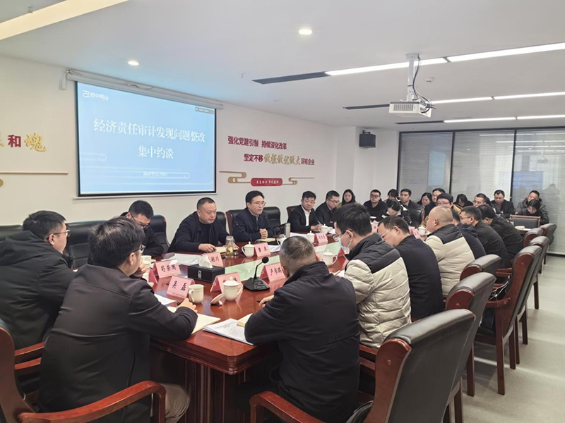 巴中兩山公司召開經(jīng)濟(jì)責(zé)任審計發(fā)現(xiàn)問題整改集中約談會